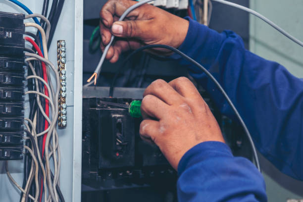 Best Electrician for Home Renovation  in Dudley, NC